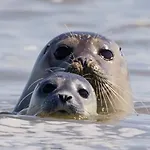 Les Pieds Dans L'eau... Au Chaud !!! * Le Crotoy